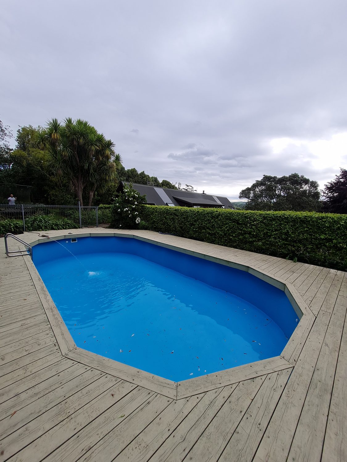 An octagonal pool set into a grey timber deck beside a hedge