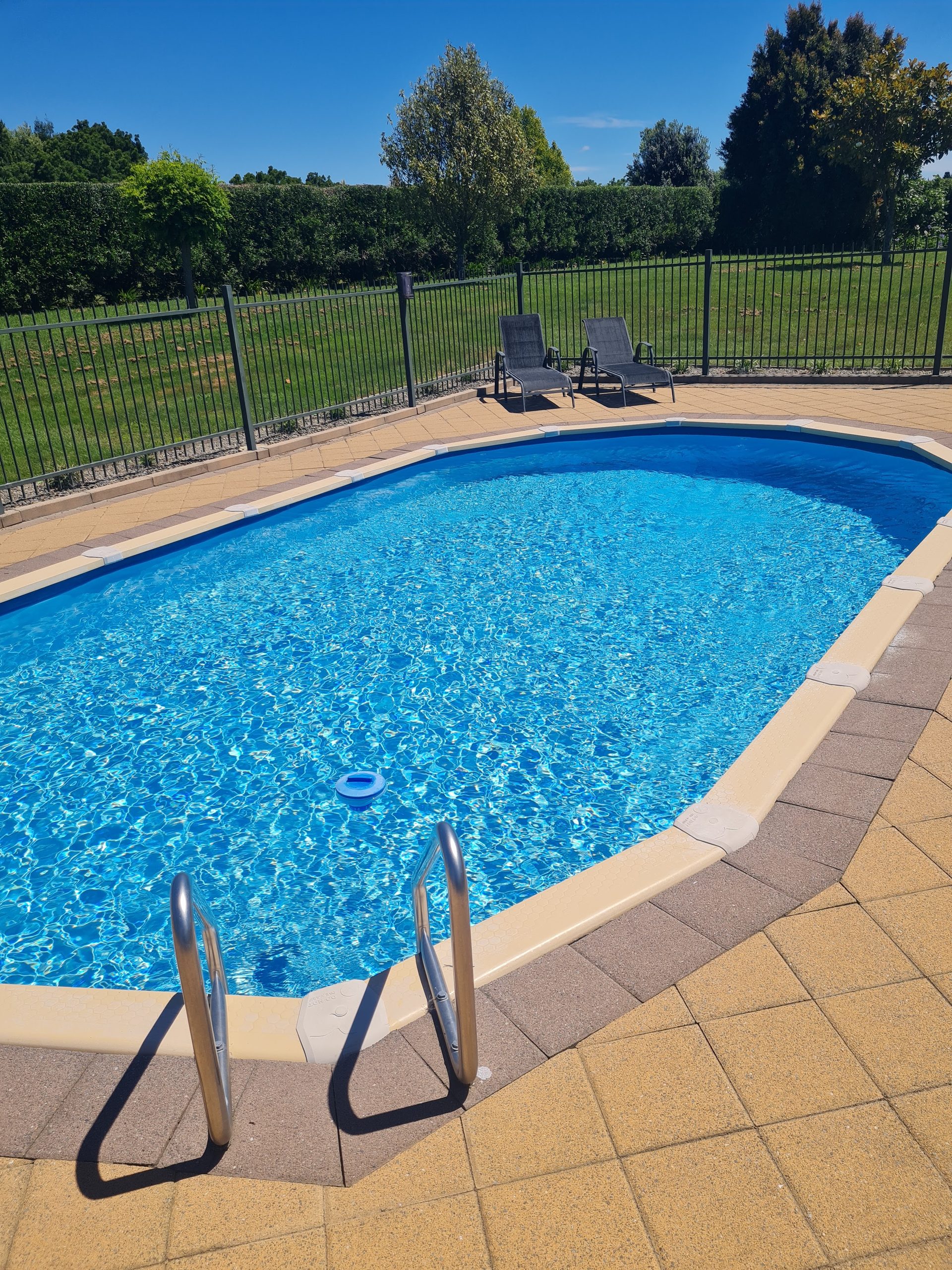 An in-ground swimming pool in Tauranga with a stainless steel ladder and a paved surround